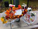 Chicago Ghost Bikes