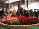 Flower Show (click to zoom)