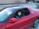 Daniel's First Driving Practice! (click to zoom)