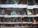 Dave's Rock Shop: Boxes of dinosaurs. (click to zoom)