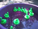 Block party: Colorful rubber ducks. (click to zoom)