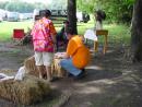 Pow-Wow in Thatcher Woods. (click to zoom)