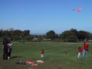 Kites on Cricket Hill. (click to zoom)