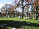 Graceland Cemetery: Broad view. (click to zoom)