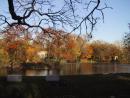Graceland Cemetery: Lake. (click to zoom)