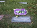 Graceland Cemetery: Marker. Mom is missed. (click to zoom)