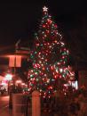 Christmas tree in Lincoln Square. (click to zoom)