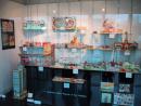 Elmhurst Art Museum: 50s toys collection. (click to zoom)
