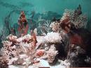 Lizzadro Museum: Fish nature scene with stone animals. (click to zoom)