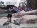 Lincoln Park Zoo: Caroling to the Animals. (click to zoom)