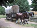 Donley's Wild West Town: Wagon. (click to zoom)