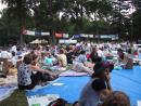 Shakespeare on the Green: Crowd. (click to zoom)