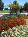 Navy Pier: Flowers. (click to zoom)