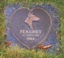 Aarrowood Pet Cemetery: Peaches. (click to zoom)