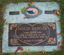 Aarrowood Pet Cemetery: Disco Dancer. (click to zoom)