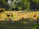 Aarrowood Pet Cemetery: Greens. (click to zoom)