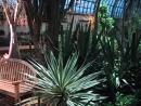 Garfield Park Conservatory. (click to zoom)