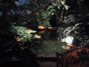 Chihuly in the Park: Pond. (click to zoom)