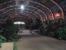 Garfield Park Conservatory. (click to zoom)
