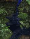 Garfield Park Conservatory: Waterfall. (click to zoom)
