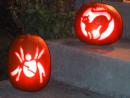 Suburban Halloween sights: Spider and cat pumpkins. (click to zoom)