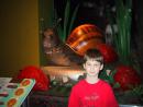 Peggy Notebaert Nature Museum: Giant snail, little boy. (click to zoom)