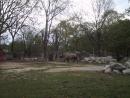 Brookfield Zoo. (click to zoom)