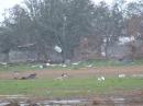 Volunteers of America Katrina relief trip to Louisiana. (click to zoom)