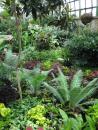 Lincoln Park Conservatory. (click to zoom)