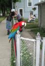 Parrot loving neighbors. (click to zoom)