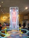 The Franklin Institute Science Museum in Philadelphia. (click to zoom)