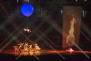 Cirque Du Soleil Delerium. (click to zoom)