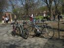 Earth Day festivities at Lincoln Park Zoo. (click to zoom)