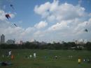 Kids-N-Kites festival on Cricket Hill in Montrose Park. (click to zoom)