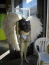 Spectacular white winged angel Halloween costume. (click to zoom)