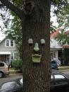 Tree face. (click to zoom)