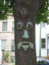 Tree face. (click to zoom)
