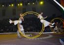 Triton Troupers Circus shows. (click to zoom)