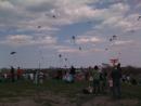 Kids-n-Kites fest (click to zoom)