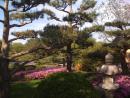 Chicago Botanic Gardens (click to zoom)