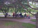 Kidical Mass (click to zoom)