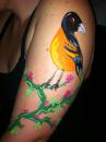 Body painted Robin on Jera. (click to zoom)