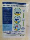 Birds eat, birds poop, swim advisories happen. (click to zoom)