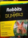 Rabbits for Dummies. (click to zoom)