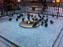 Pigeons at the eternal flame. (click to zoom)