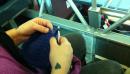 Jera knitting on a train. (click to zoom)