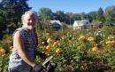 2024.09.21: Passing a rose garden. (click to zoom)