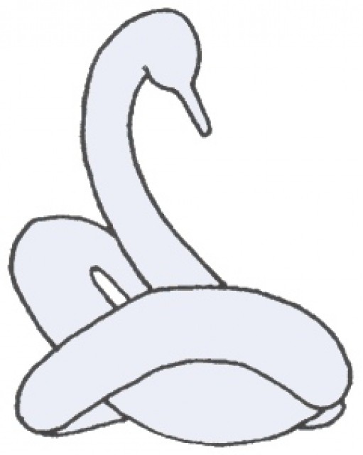 Bird, Swan