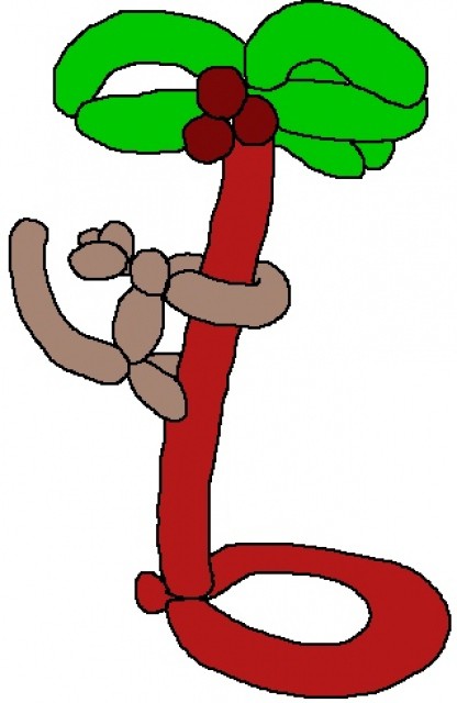 Primate, Monkey in Tree