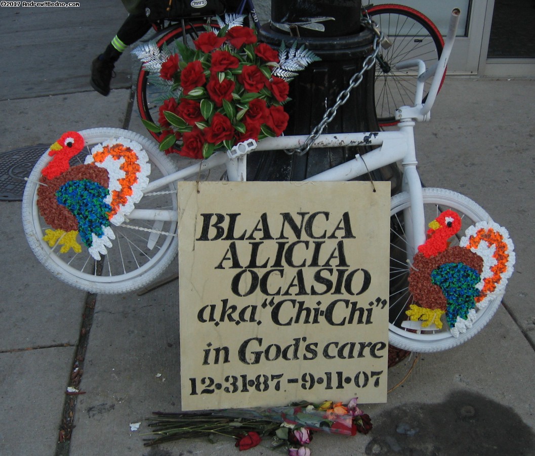 Blanca Alicia Ocasio
